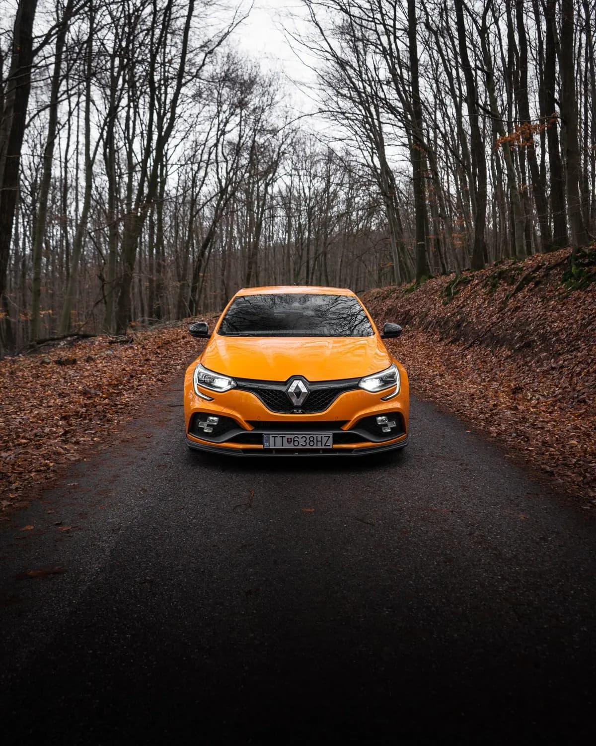 Compacte sportive orange de face sur une route forestière détrempée